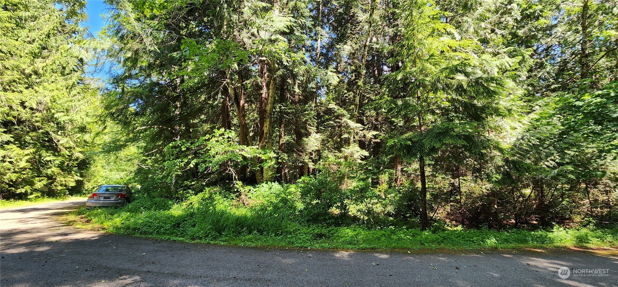 Property Photo:  0 N Olympic Trails Drive  WA 98555 