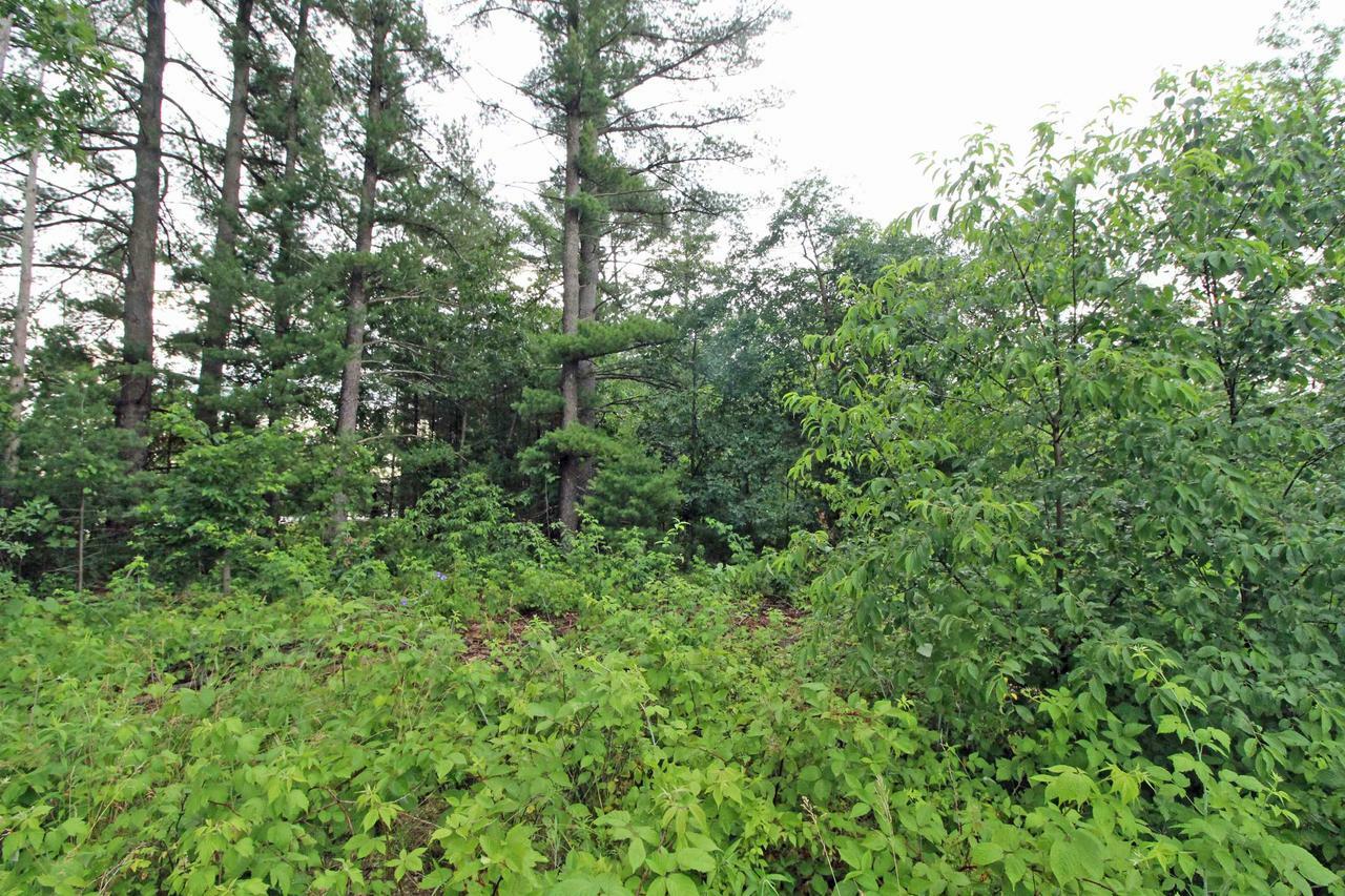 Property Photo:  Lot 8 Spruce  WI 53588 