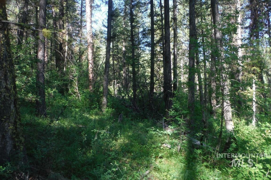 Property Photo:  10 Acre Red Fir Place  ID 83716 