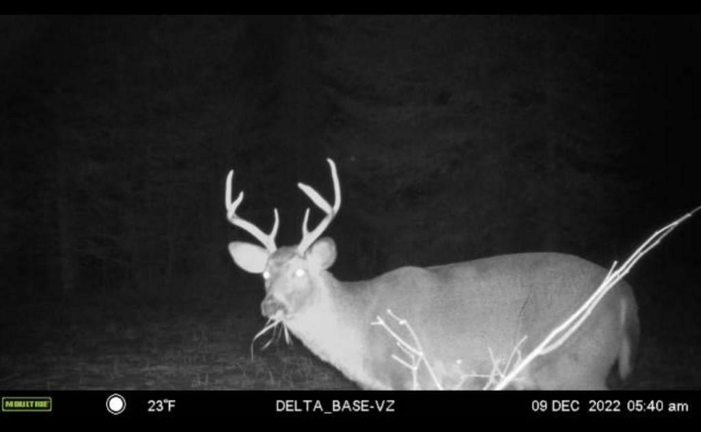 Property Photo: 30 Acres Peterson Rd WI 54409
