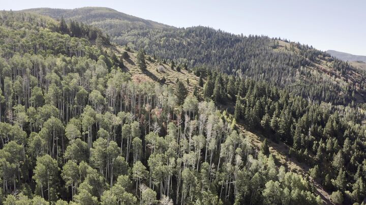 Property Photo:  78.75 Acres  UT 84719