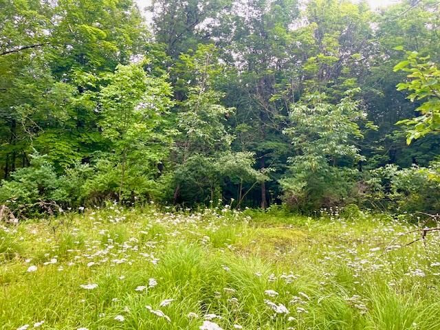 8xx E Louisiana Street  Saint Croix Falls WI 54024 photo