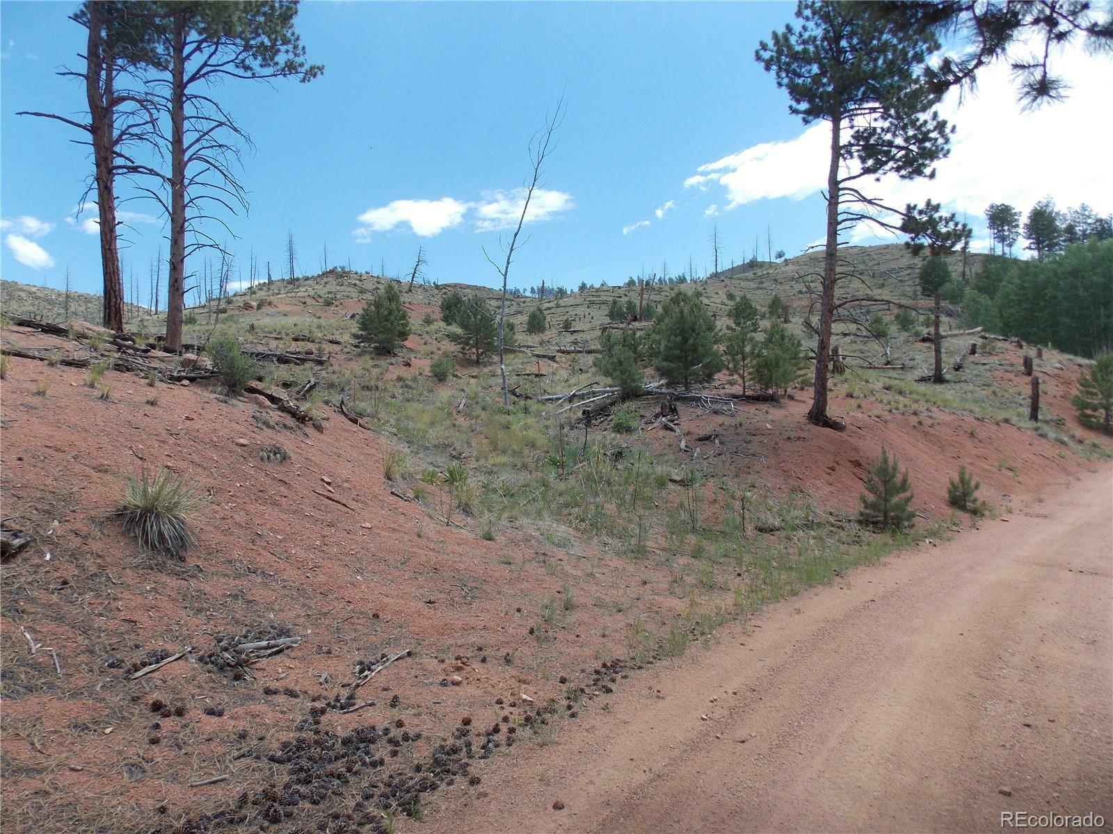 Property Photo:  14691 Crooked Trail Road  CO 80863 