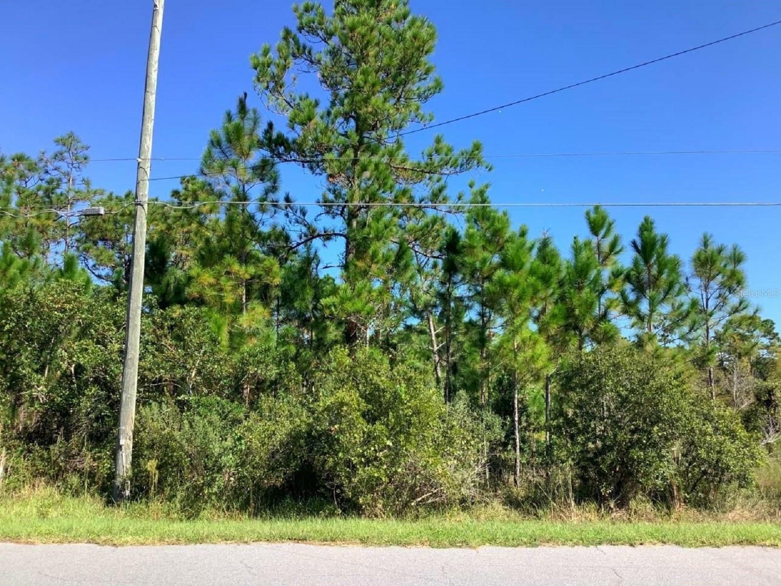 Property Photo: Starry Street FL 32833