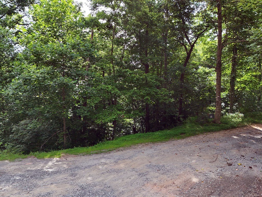 Property Photo:  Lot 25 Toccoa Preserve Court  GA 30513 