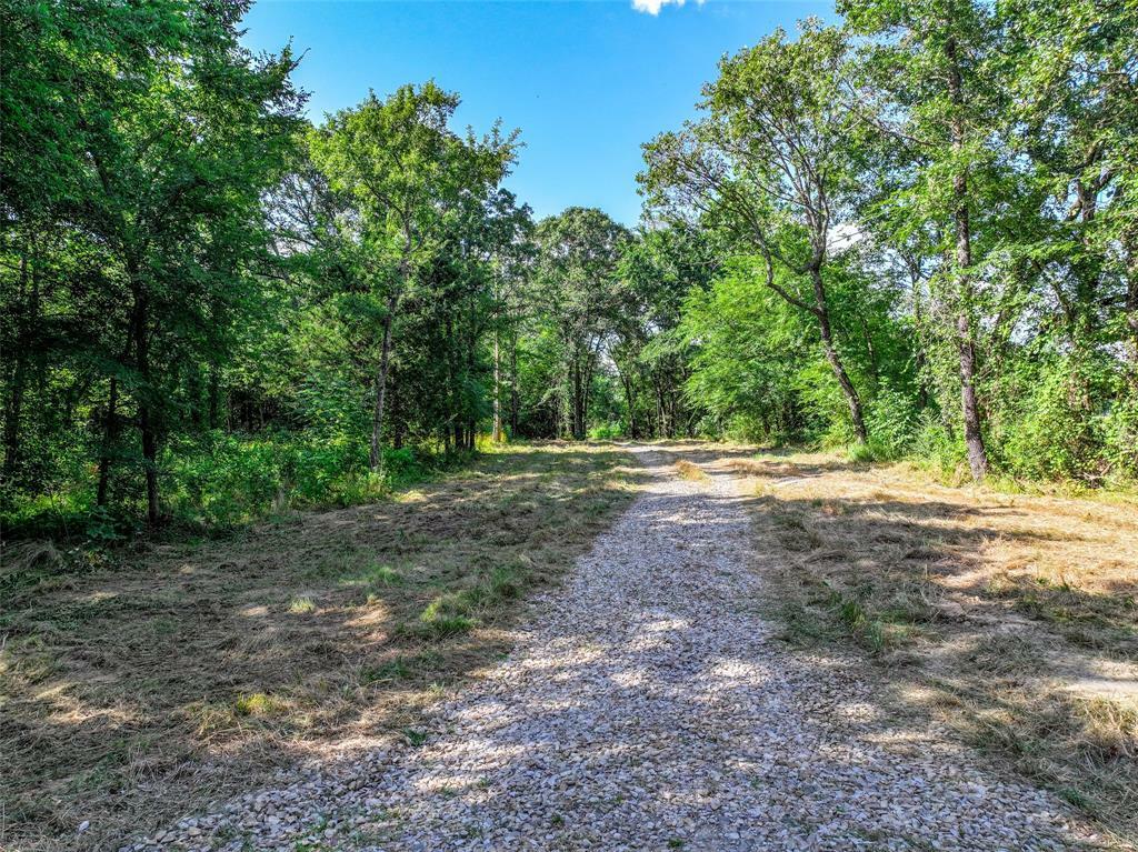 Property Photo:  313 County Road 1442  TX 75482 