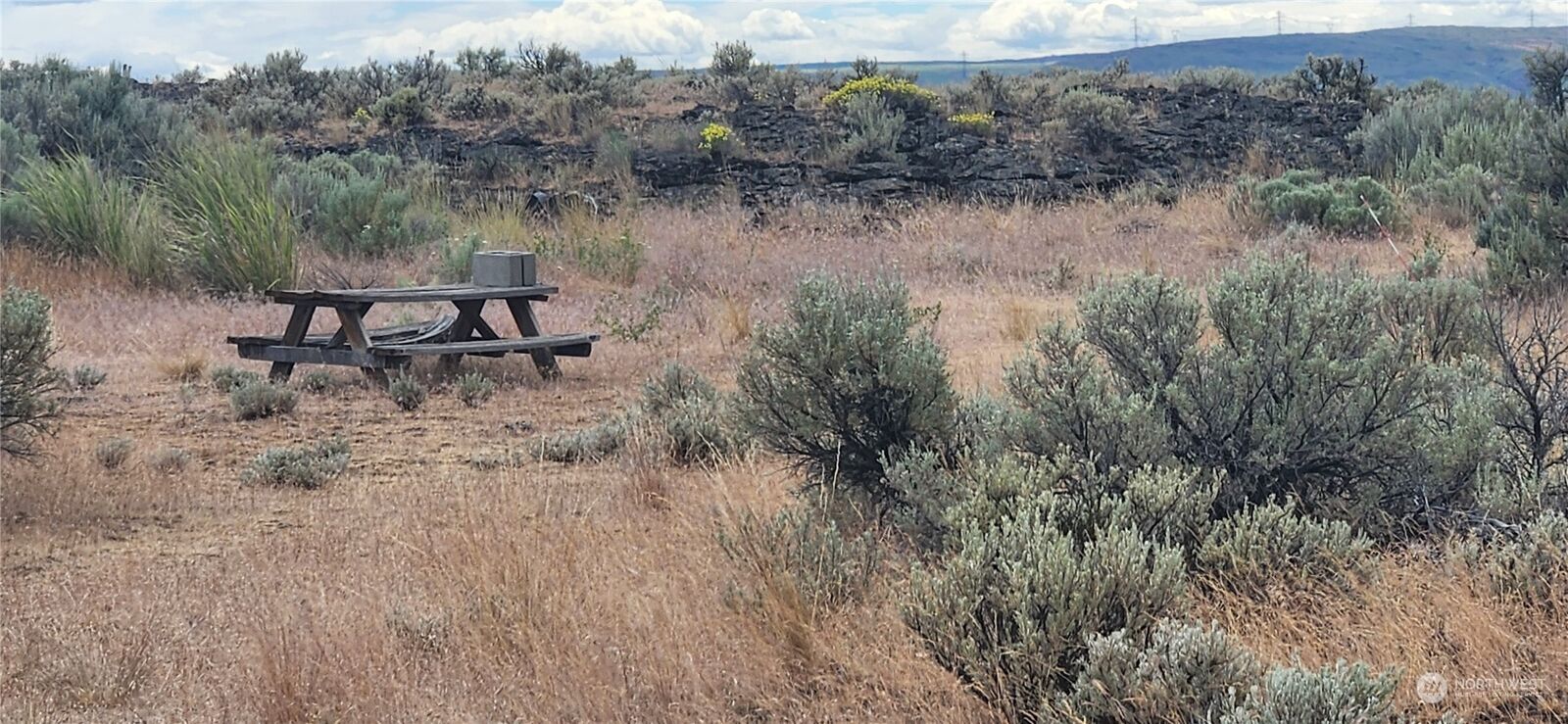 Property Photo:  0  Lot 10 Cactus Court  WA 98823 