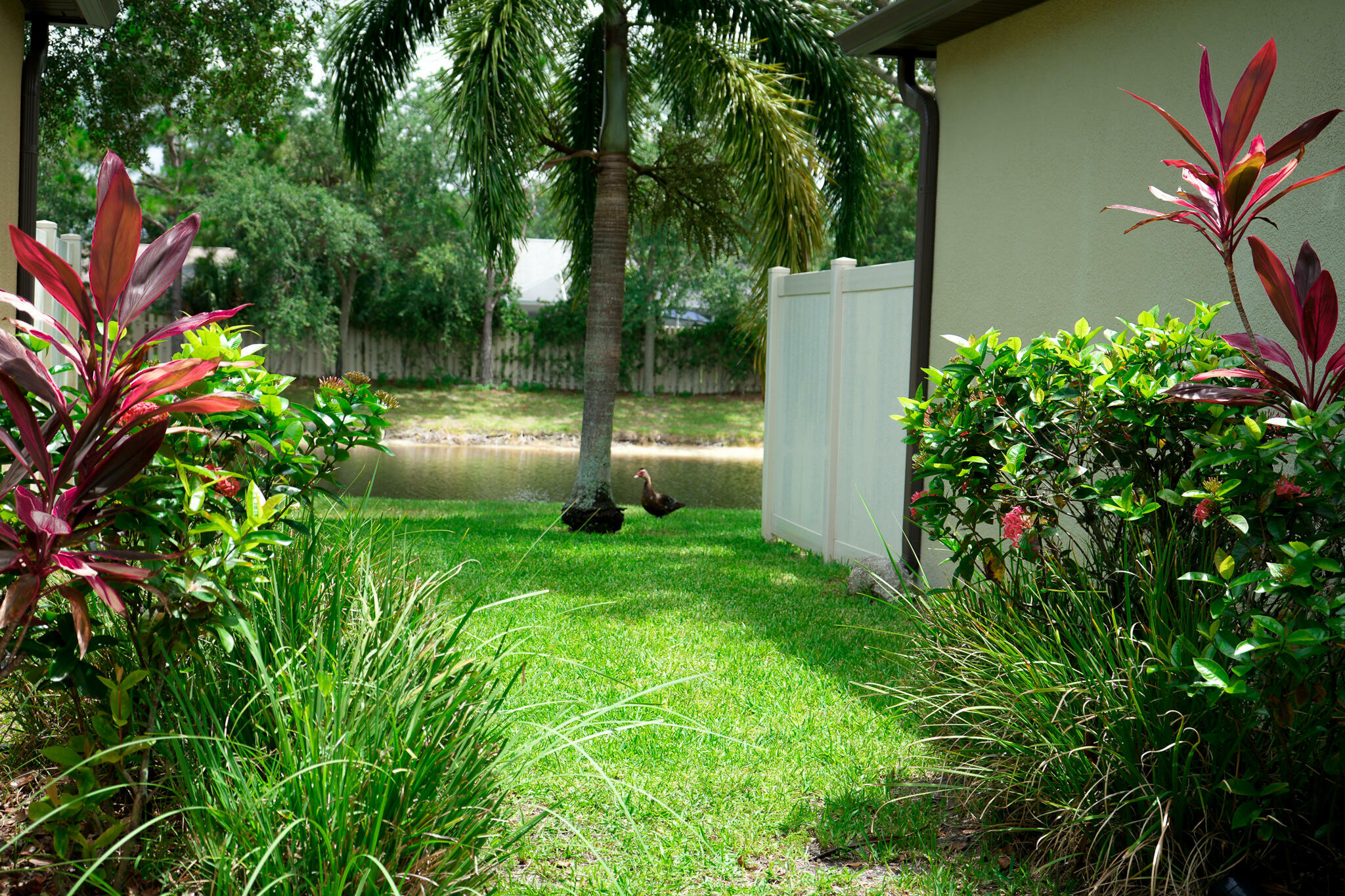 Property Photo:  283 Murano Drive  FL 32904 