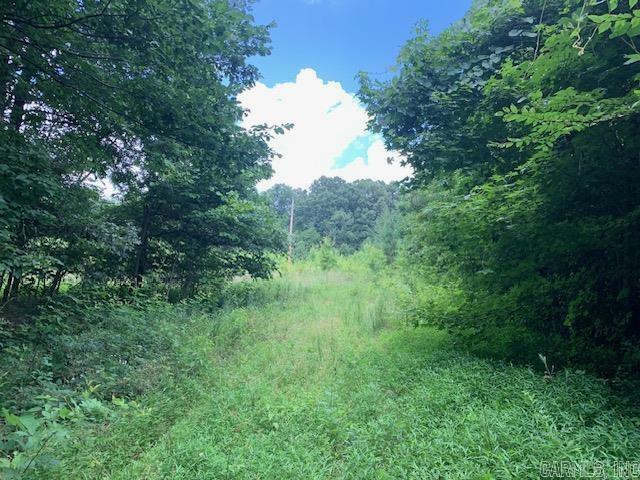 36.43 Acres Cr 714  Jonesboro AR 72401 photo