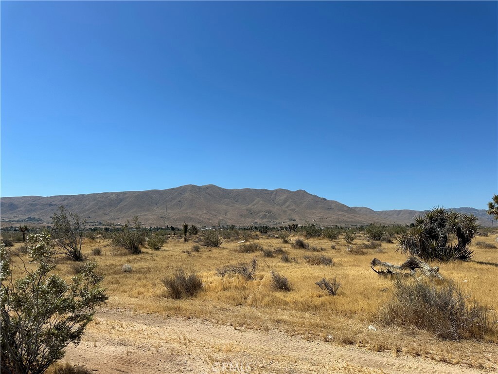 Property Photo:  0 Unknown Near Kiowa  CA 92308 