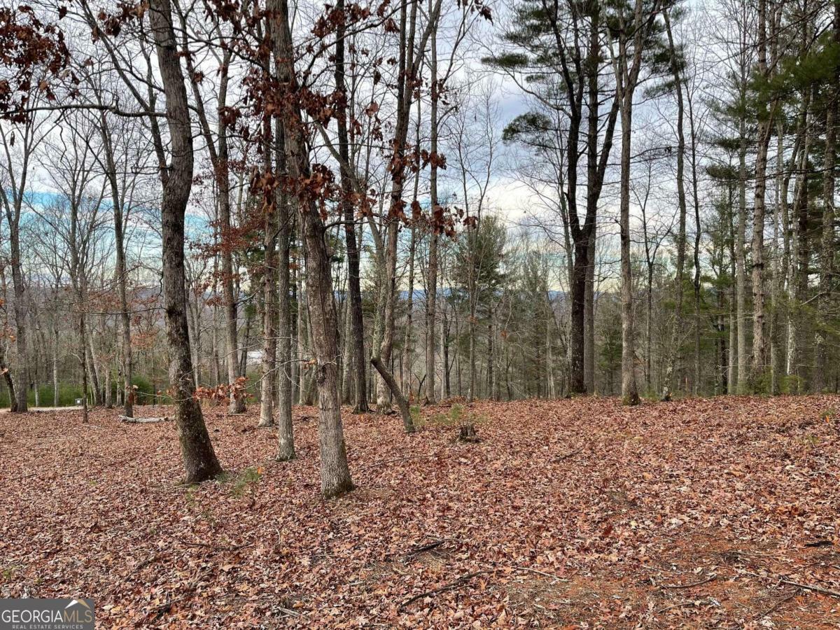 Lot 16 Apple Blossom Road  Blairsville GA 30512 photo