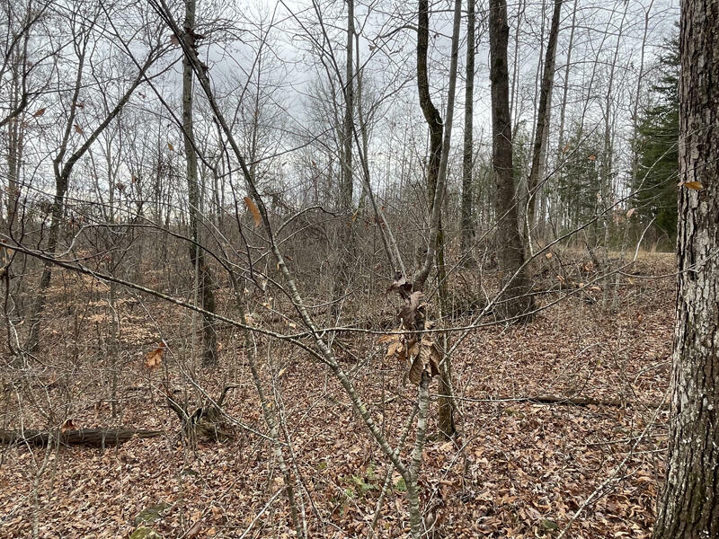 Property Photo:  Lot 20 Haynes Knob Road  KY 42501 