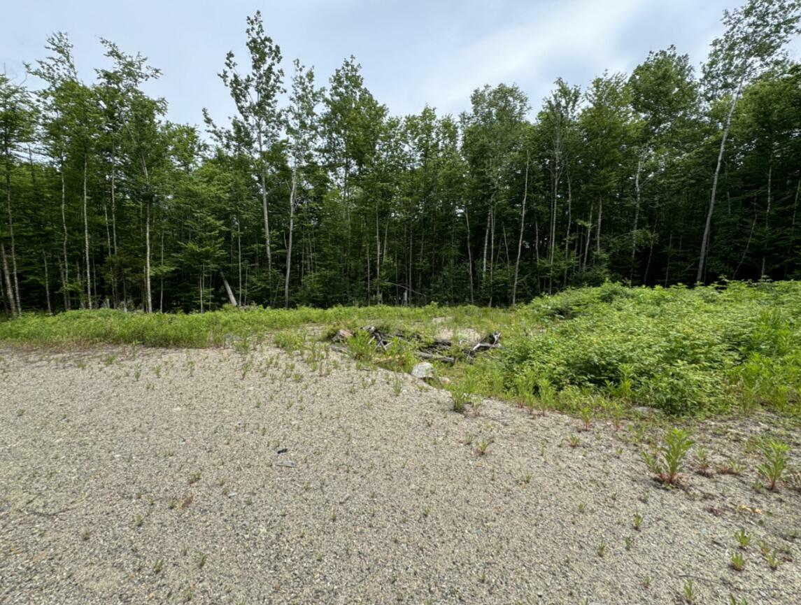 Property Photo:  Lot Wa-9 Smith Cove Road  ME 04628 