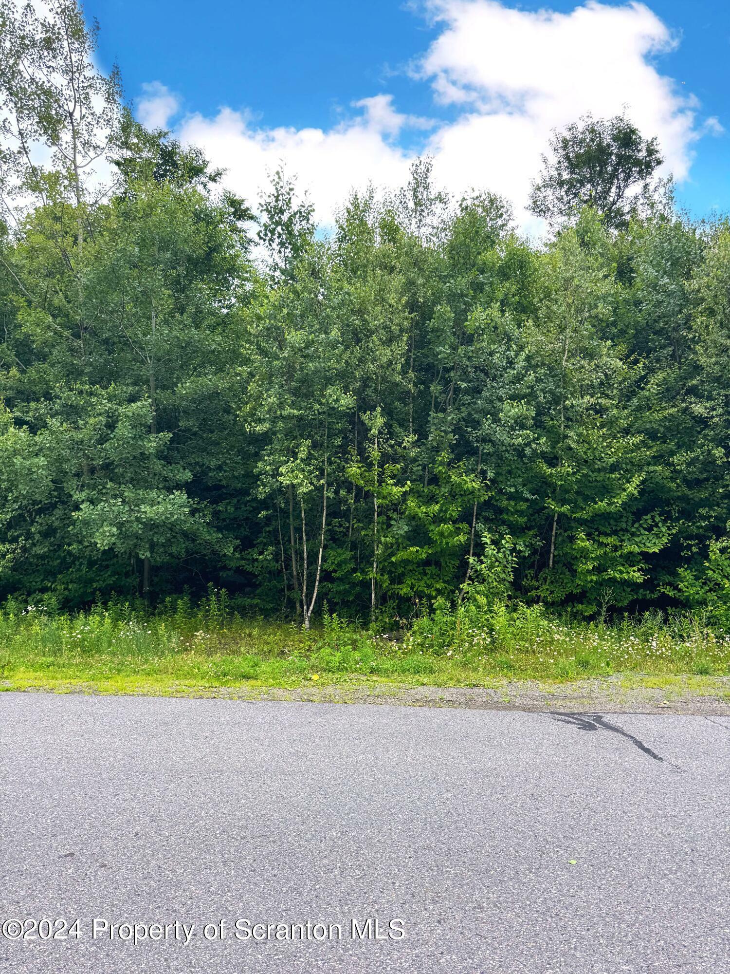 Property Photo:  L6 Summit Woods Road  PA 18444 