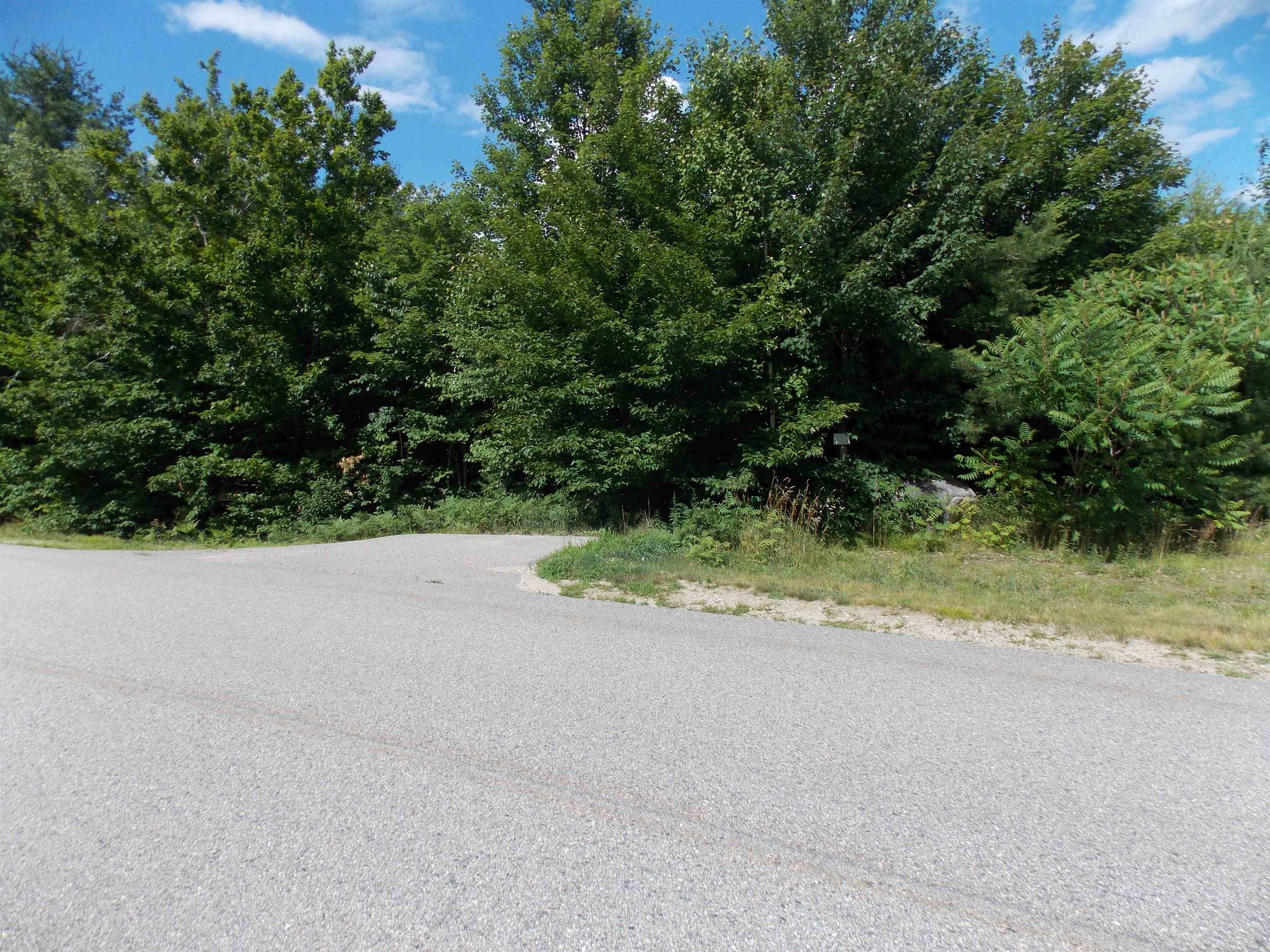 Property Photo:  00 Grandview Road  NH 03818 