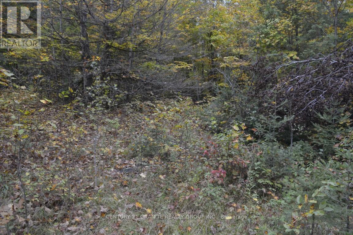 Photo de la propriété:  Ptlt 61 Old Hastings Road  ON K0L 1P0 