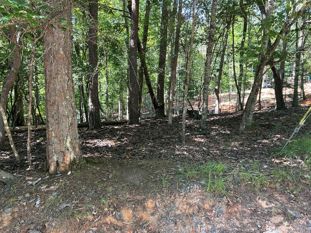 Property Photo:  Lt 640 Cypress Circle  GA 30540 