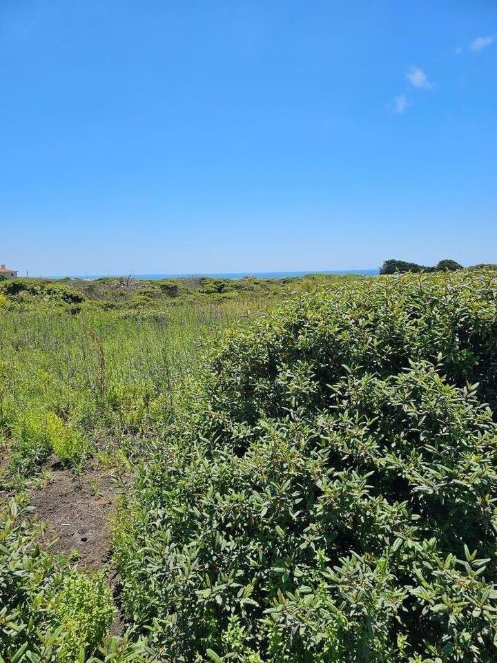 Property Photo:  00 Vienna  CA 94019