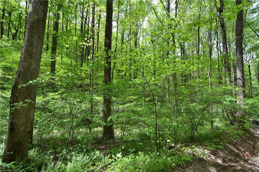 Property Photo:  0 Sutton Road  GA 30175 