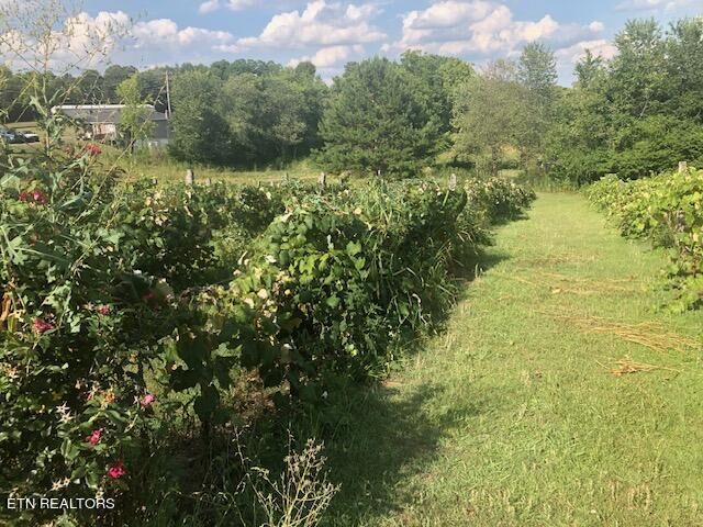 Property Photo:  Sweetwater Vonore Rd  TN 37874 