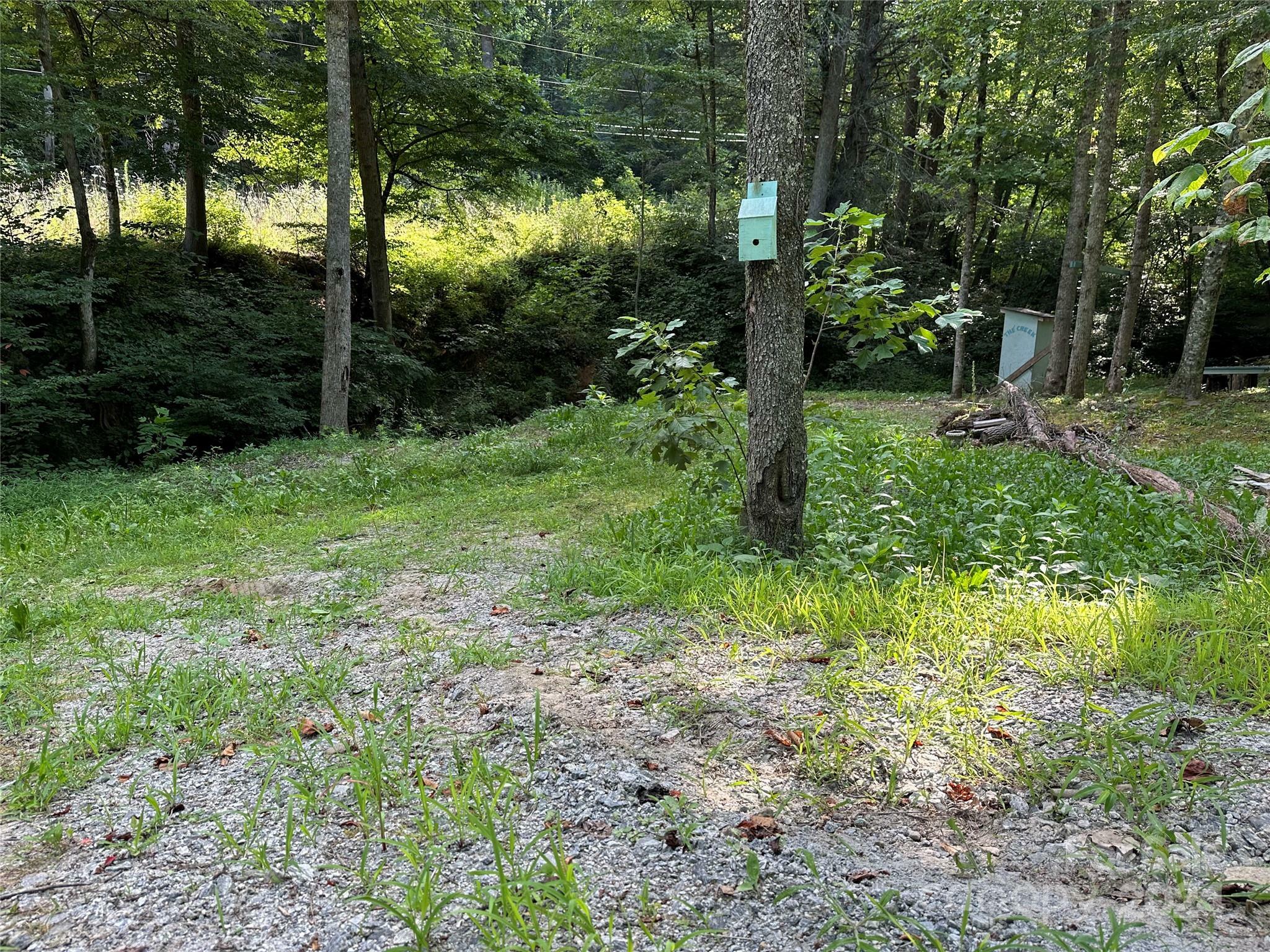 Property Photo:  99999 Hog Rock Road  NC 28792 