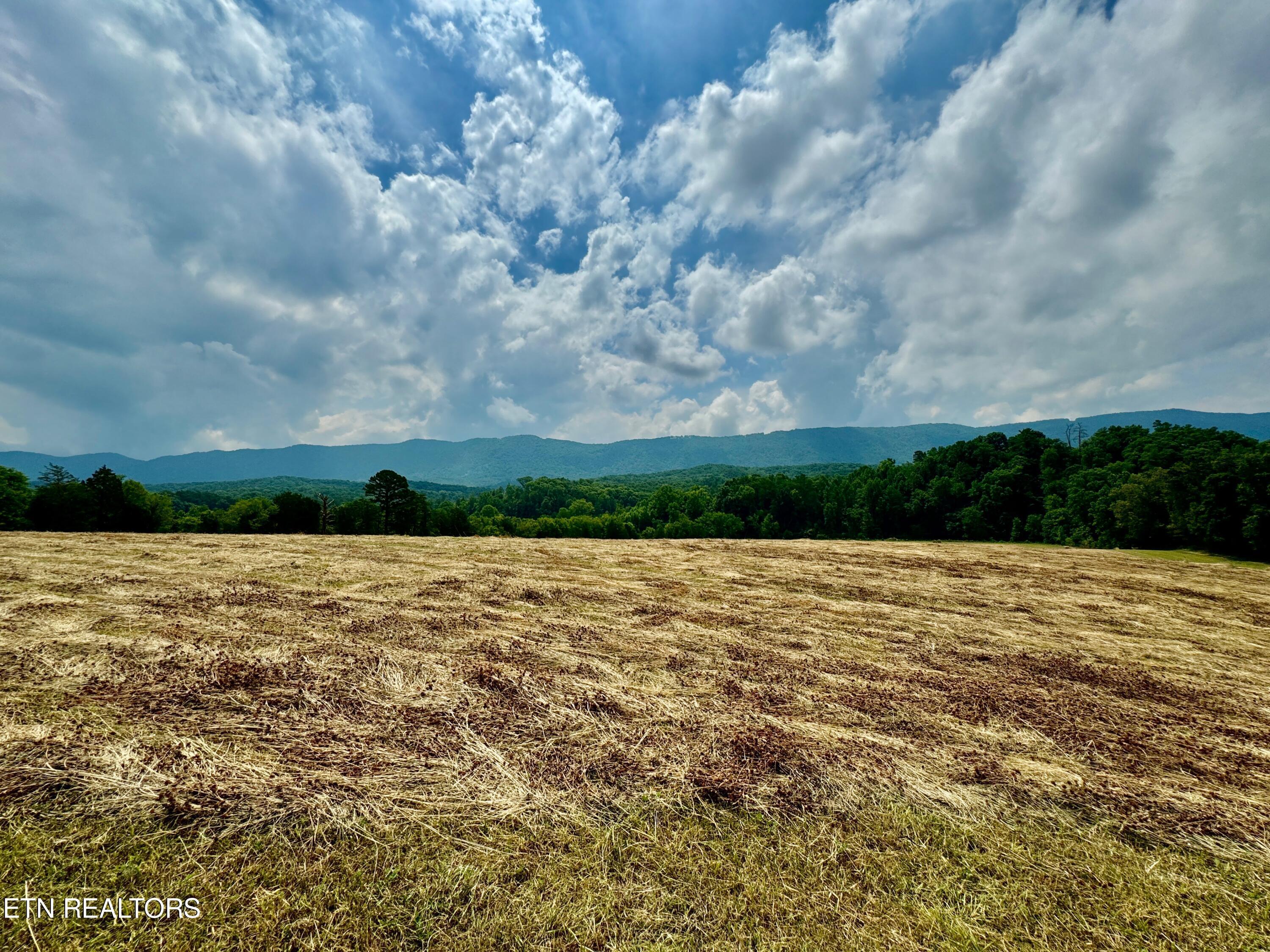 Property Photo: Six Mile Rd TN 37803