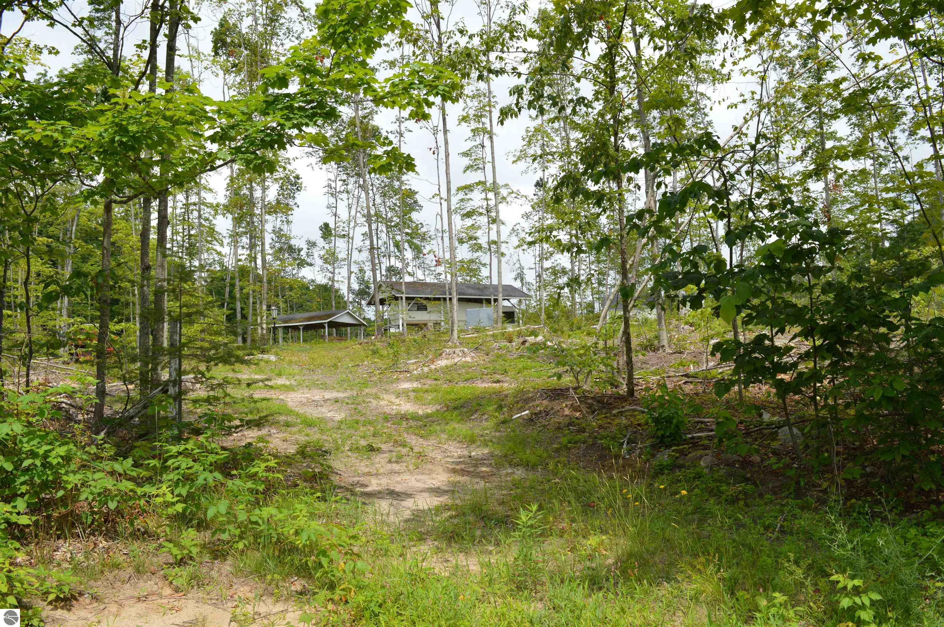 Property Photo:  Hardwood  MI 49730 