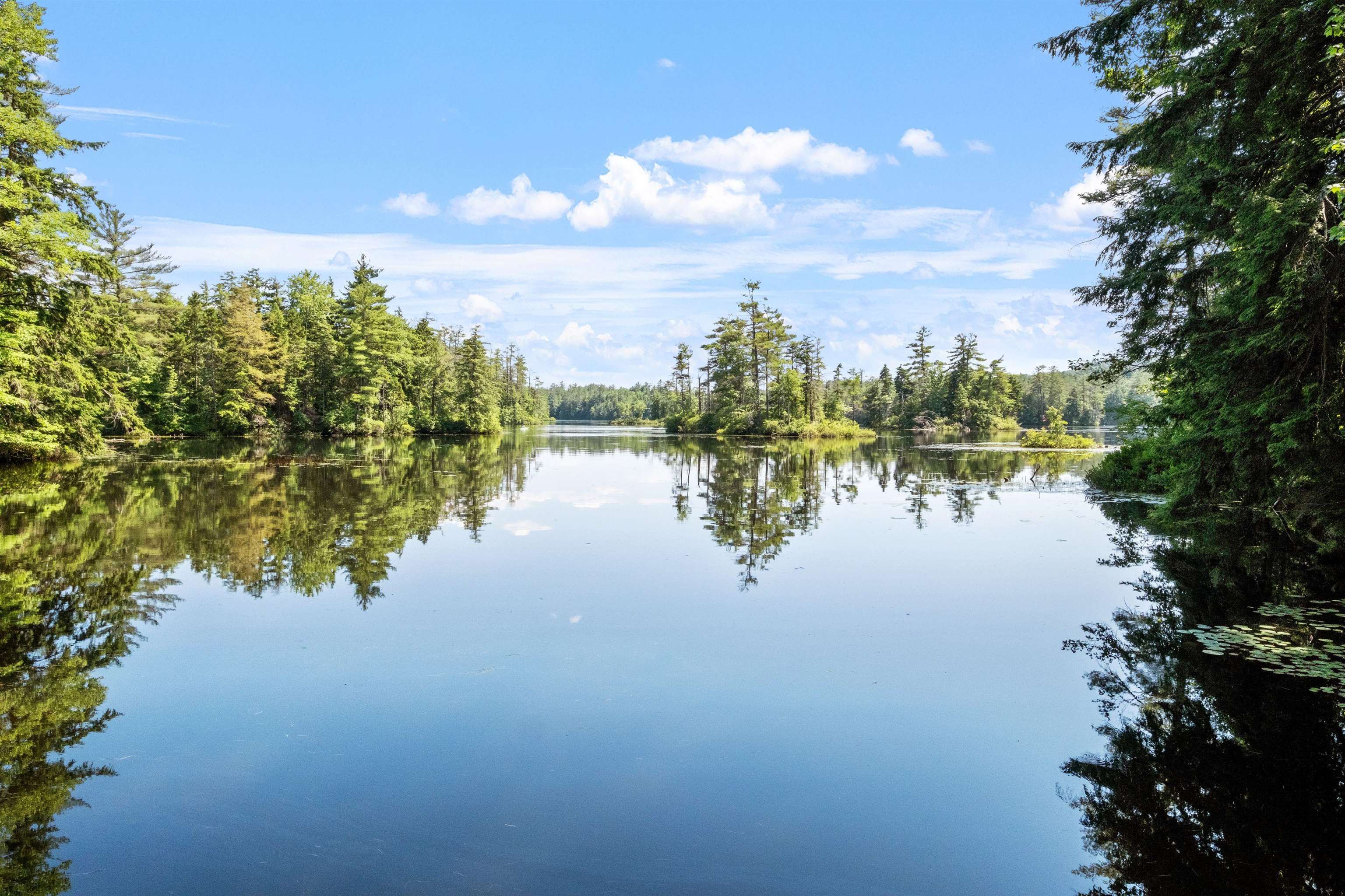 Property Photo:  85 Hermit Lake Road  NH 03269 