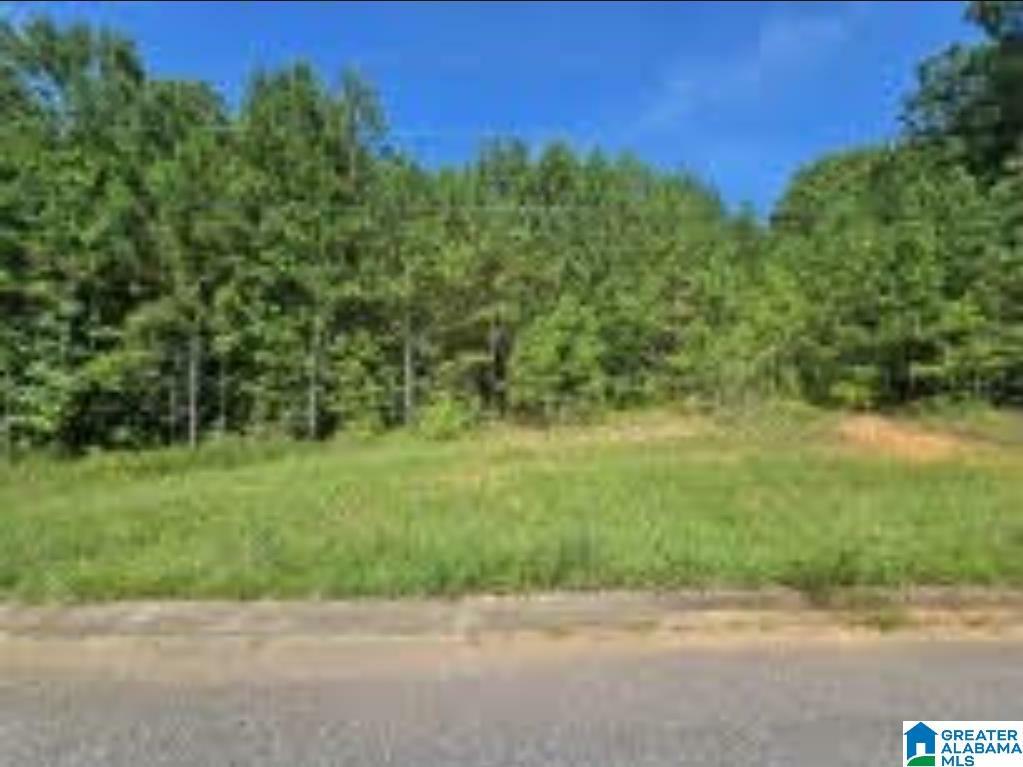 Property Photo:  Lot 4 Woodhaven Drive 4  AL 35128 