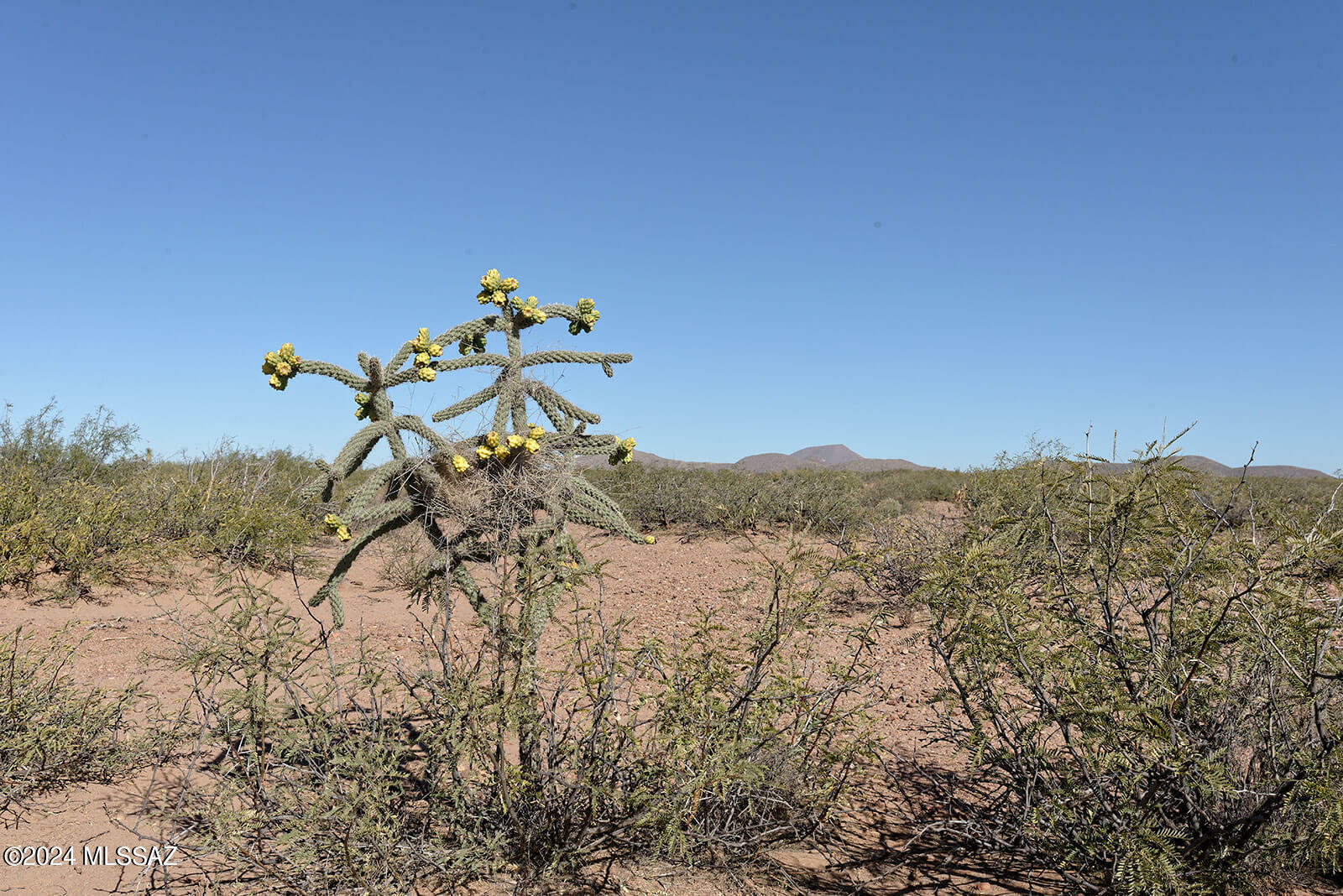 Property Photo:  Tbd W Agua Blanca Road 1  AZ 85610 