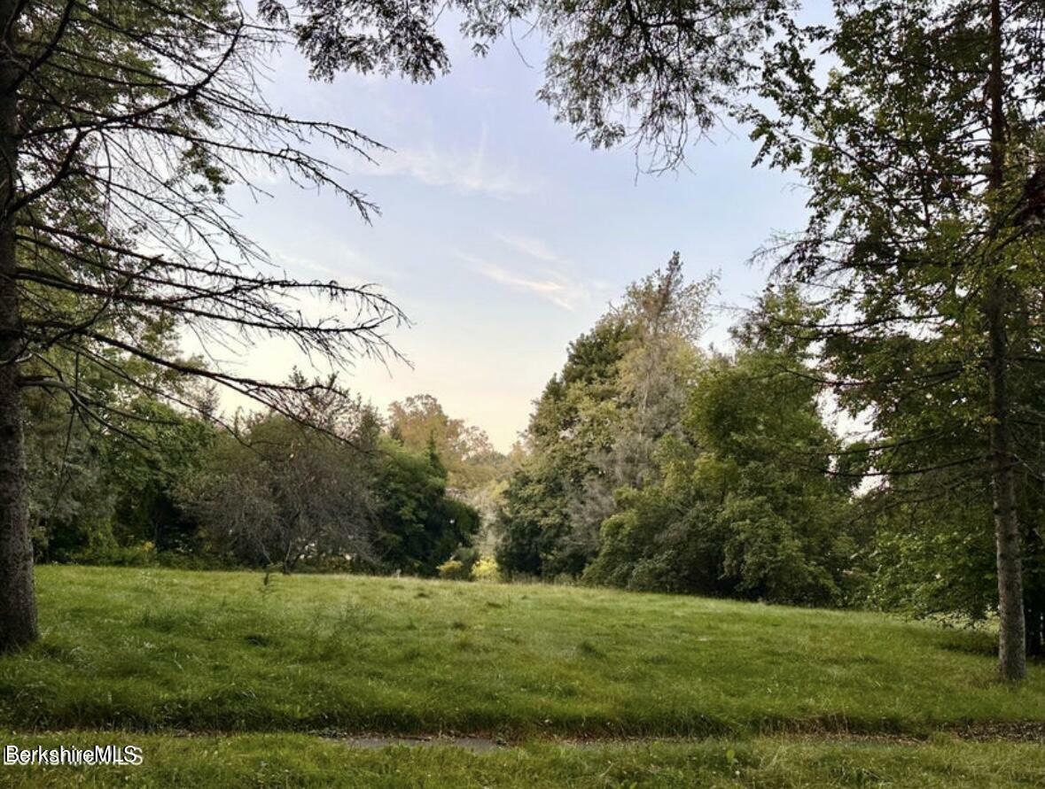 Property Photo: 0 Crane Ave MA 01226