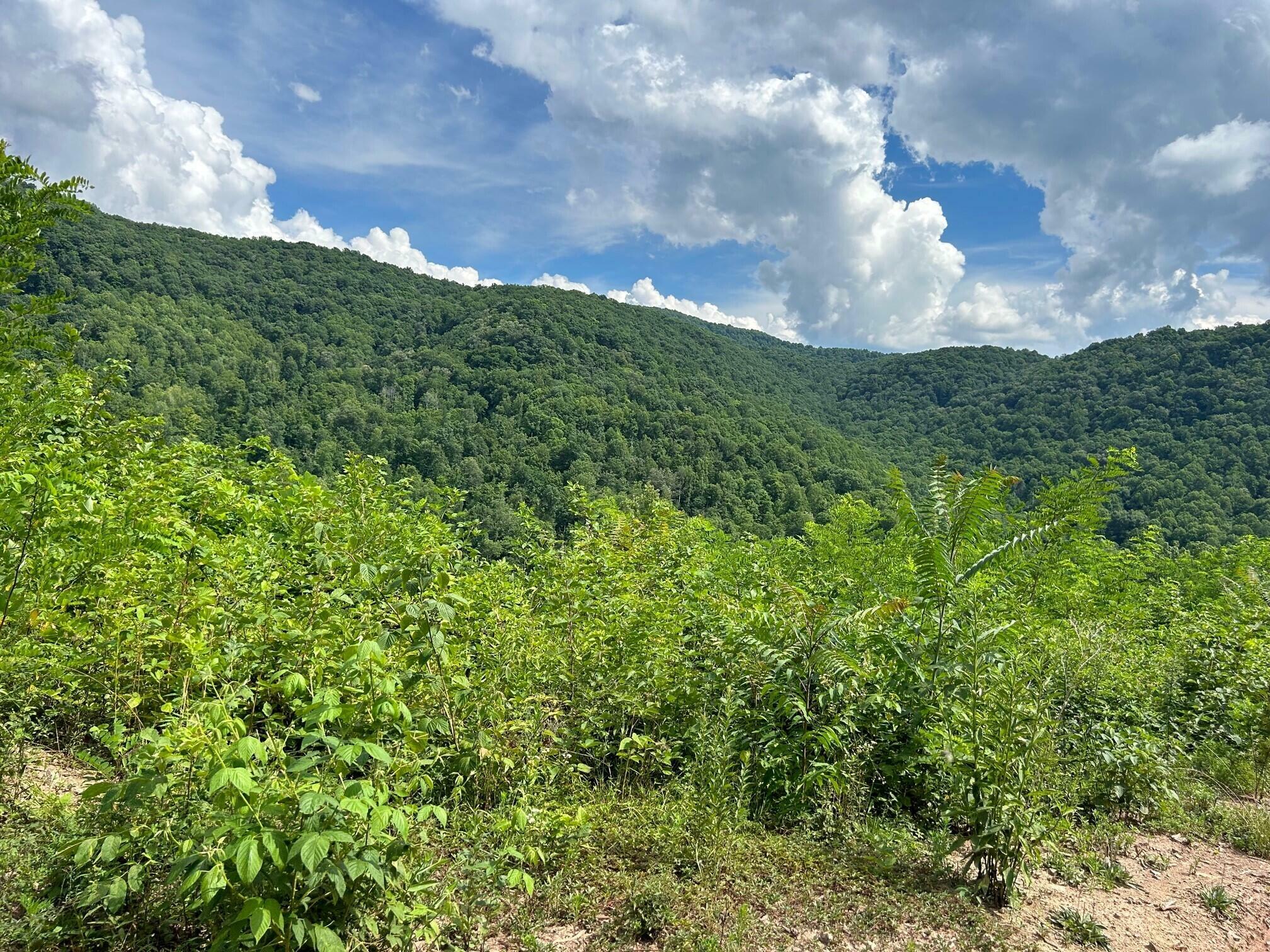 Property Photo:  Keeney Mt. Rd  WV 25976 