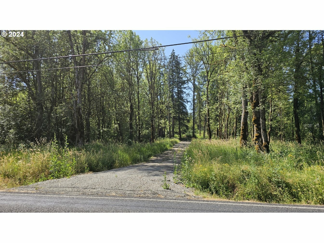 Property Photo:  NE 199th St  WA 98642 