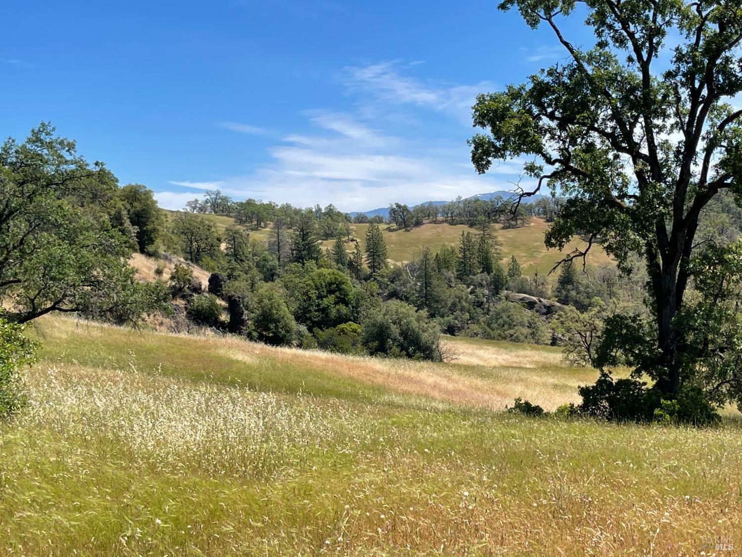 Property Photo:  22551 Rifle Range Road  CA 95428 