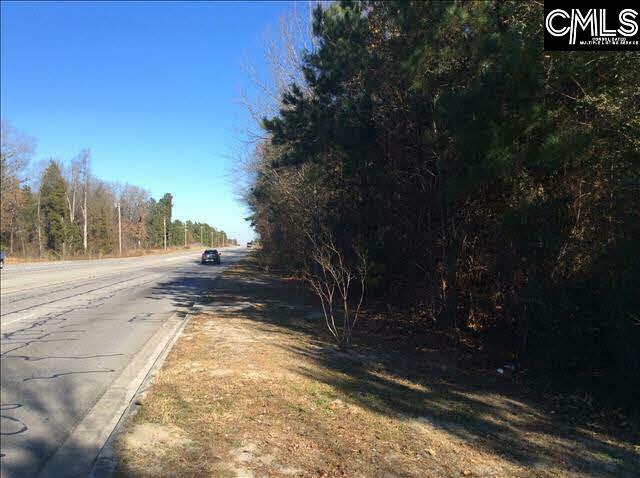 Property Photo:  0 Highway 302  SC 29170 