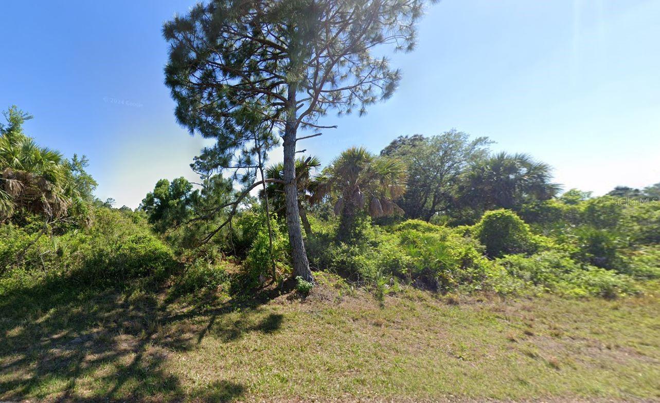 Property Photo: 12189 Grace Avenue FL 33981