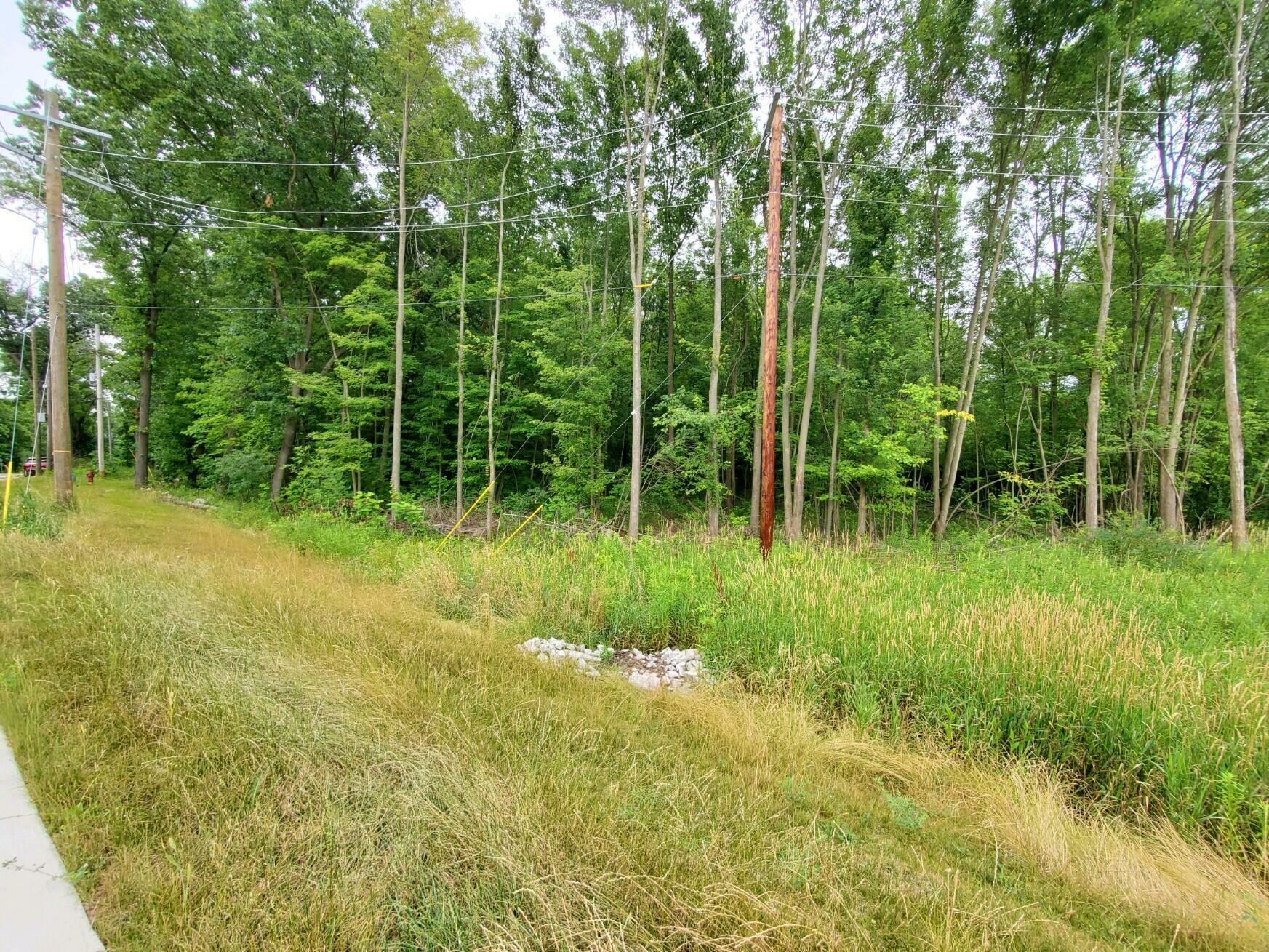 Property Photo:  S Dearing Road  MI 49283 