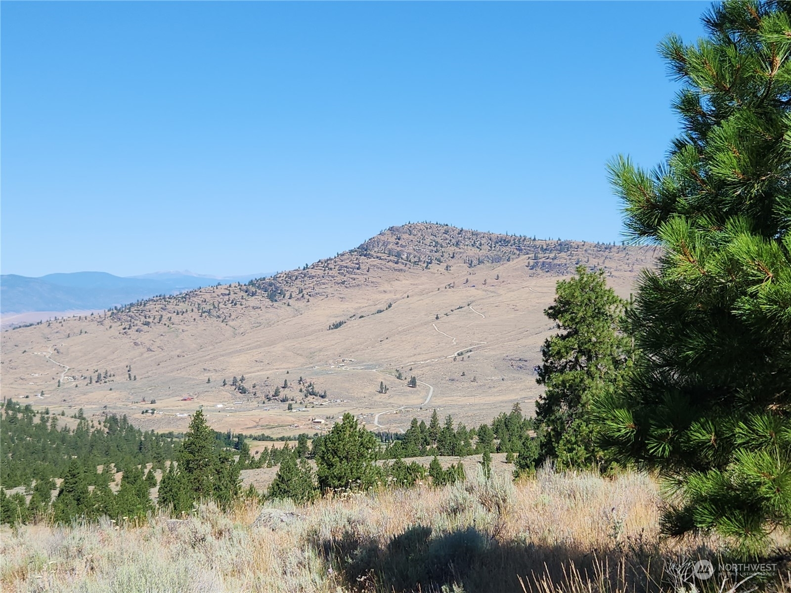 Property Photo:  0 Tbd Reeves Basin Road  WA 98855 