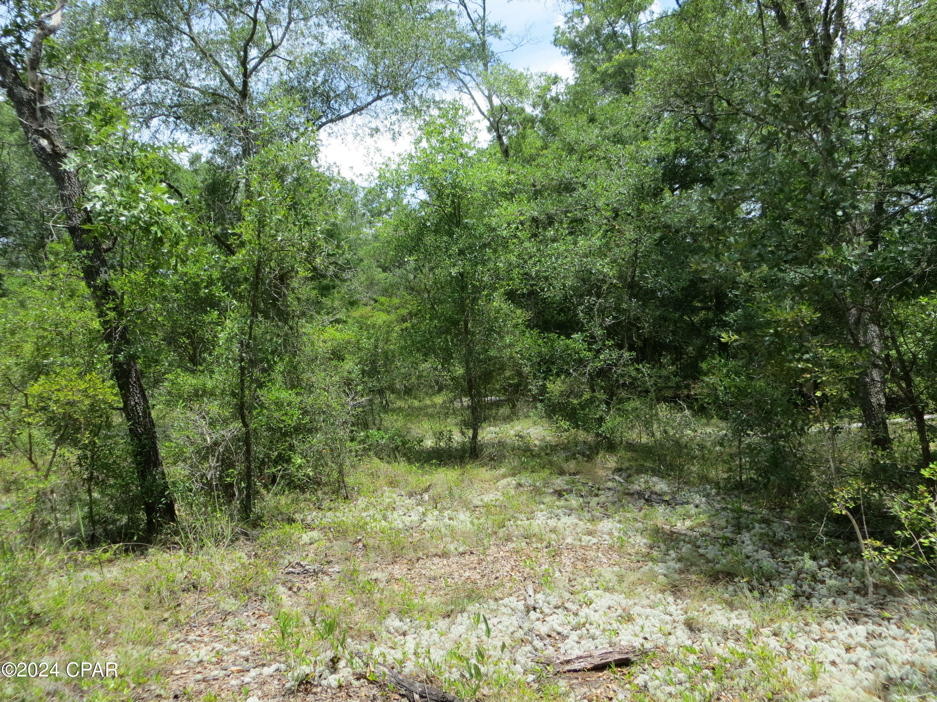 Property Photo:  000 Moss Hill Road  FL 32428 