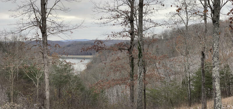 Property Photo:  Lot 35 Sandstone Point  KY 42633 