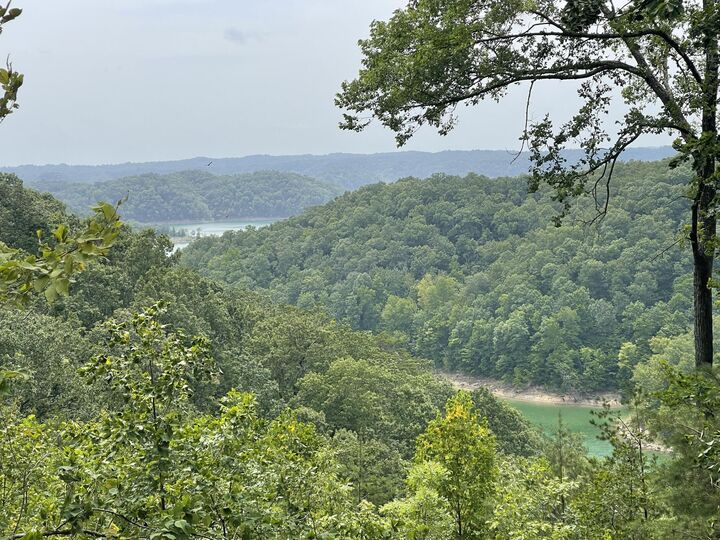 Property Photo: Lot 35 Sandstone Point KY 42633