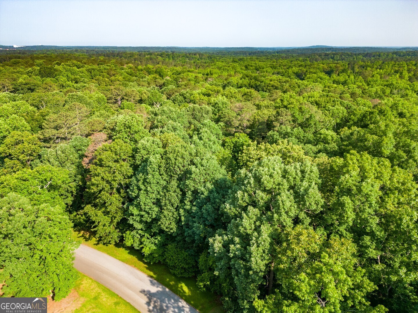 Property Photo: 190 River Cove Meadows GA 30025