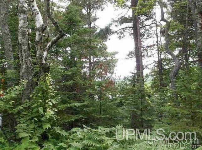 Property Photo:  Lot 5 Kayleigh  MI 49950 