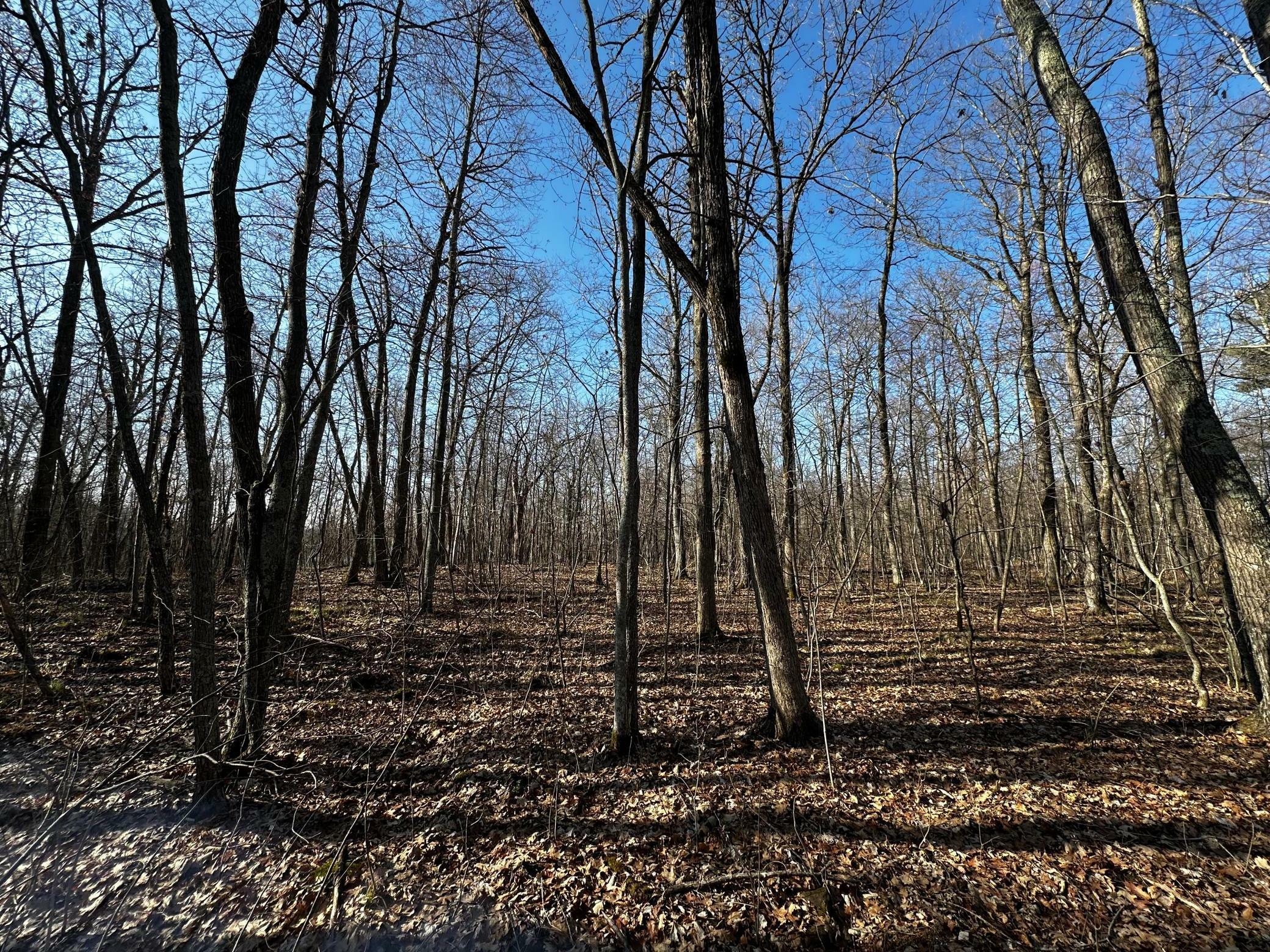 Property Photo: Xxx Wilson Lake Drive MN 56444