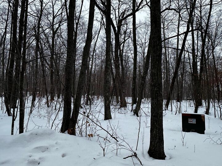 Property Photo:  Xxx Wilson Lake Drive  MN 56444 