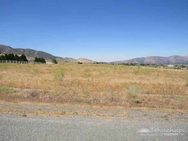 Property Photo:  0 Sioux Street  CA 93561 