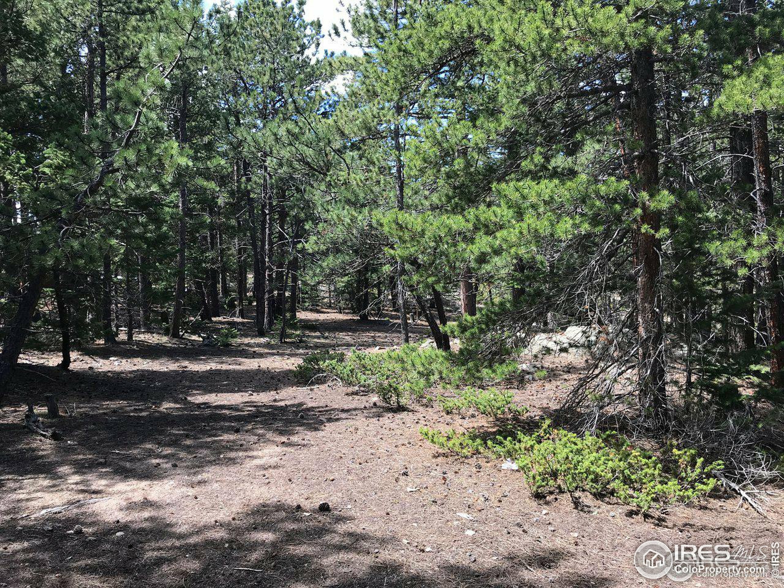 Property Photo:  575 Ranch Rd  CO 80481 