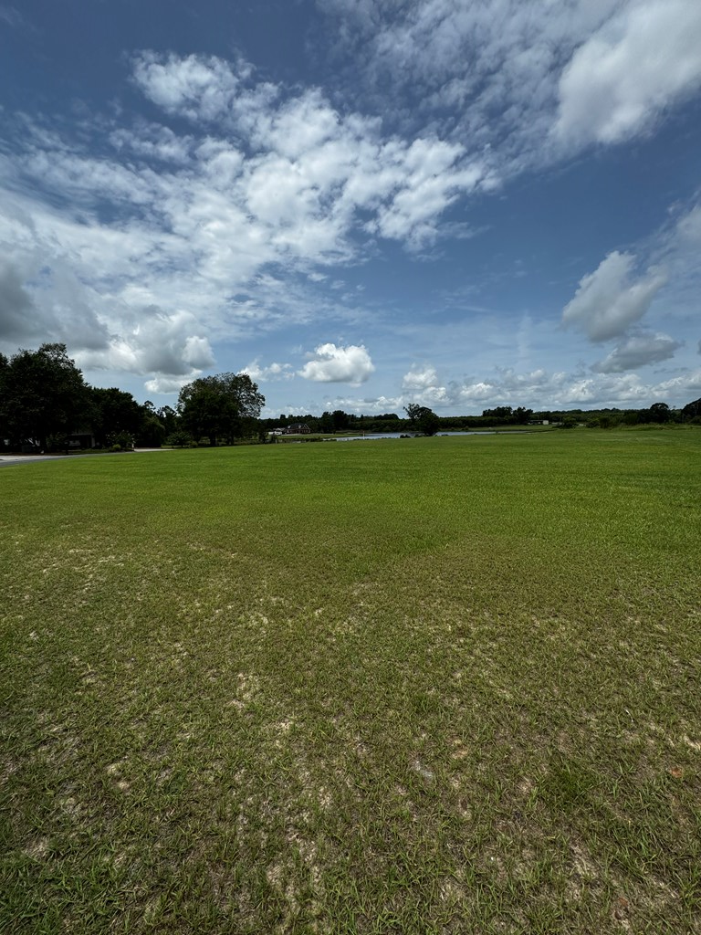 Property Photo:  0 Ineva Circle Lot 5  GA 31750 