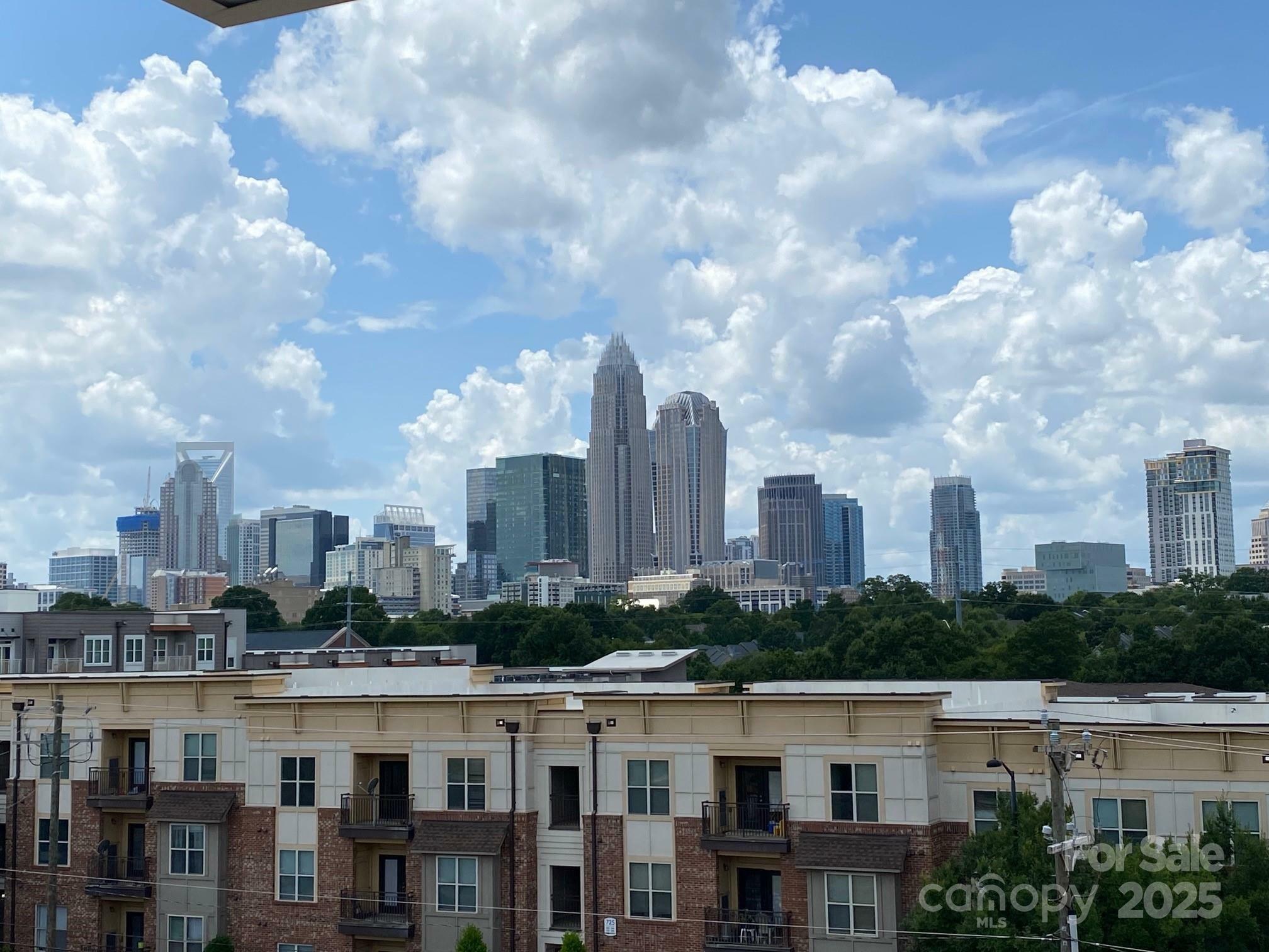 Property Photo: 12119 Brooklyn Avenue NC 28204