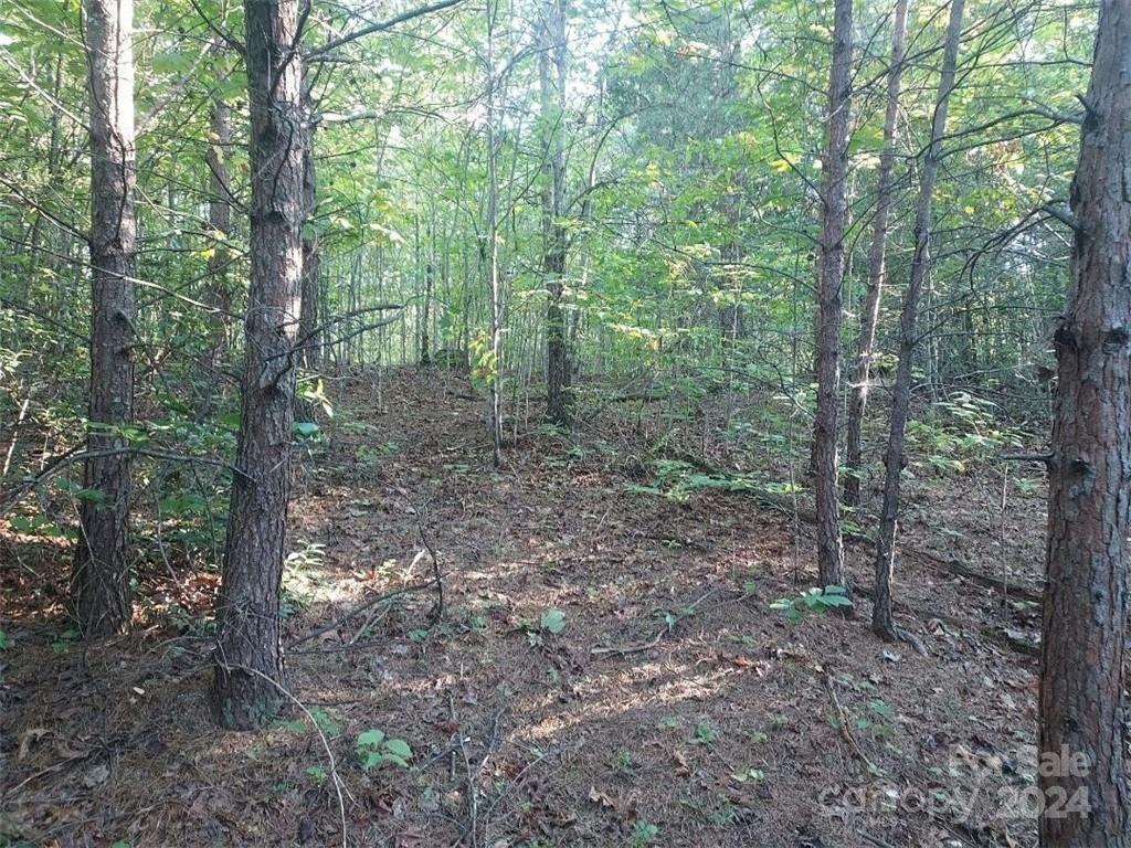 Property Photo:  V/L W Payne Road 1A  NC 28752 